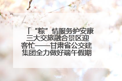 “粽”情服务护安康 三大交旅融合景区迎客忙——甘肃省公交建集团全力做好端午假期景区运营工作